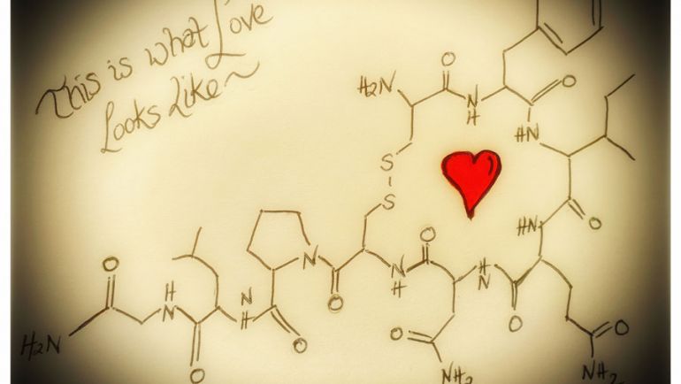 THIS IS WHAT LOVE LOOKS LIKE…