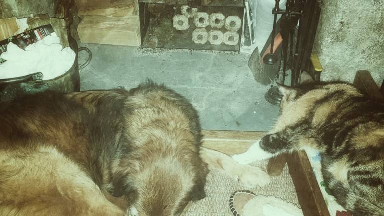 Sticks to Light Your Fire